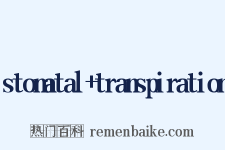 stomatal+transpiration是什么意思的图片